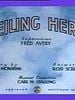 poster de Ceiling Hero