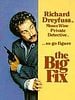 poster de The Big Fix