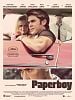 poster de Paperboy