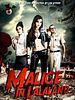 poster de Malice In Lalaland