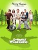 poster de Strange Wilderness