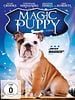 poster de A Halloween Puppy