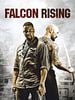 poster de Falcon Rising