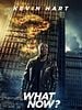 poster de Kevin Hart: What Now?