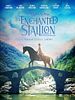 poster de Albion: The Enchanted Stallion