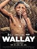 poster de Wallay