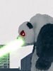 image de Atomic Panda VS Killer Coccinelles