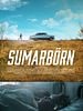 poster de Sumarbörn