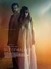 poster de Sleepwalker