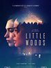 poster de Little Woods