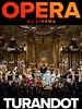 poster de Turandot (Metropolitan Opera)