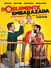 poster de Doblemente Embarazada