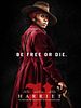 poster de Harriet