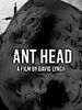 poster de Ant Head