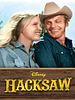 poster de Hacksaw