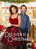 poster de Ma belle inconnue de Noël