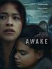 poster de Awake