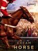 poster de Dream Horse
