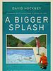 poster de A Bigger Splash