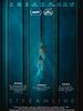 poster de Streamline