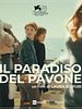poster de Il paradiso del pavone