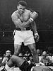 poster de Muhammad Ali the Greatest