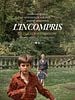 poster de L'Incompris