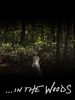 poster de In the Woods