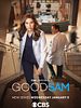 poster de Good Sam