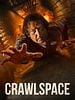 poster de Crawlspace