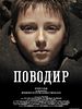 poster de Povodyr