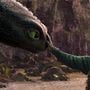 Photo 1 pour Dragons