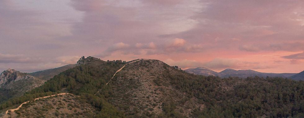 Photo du film La Muraille