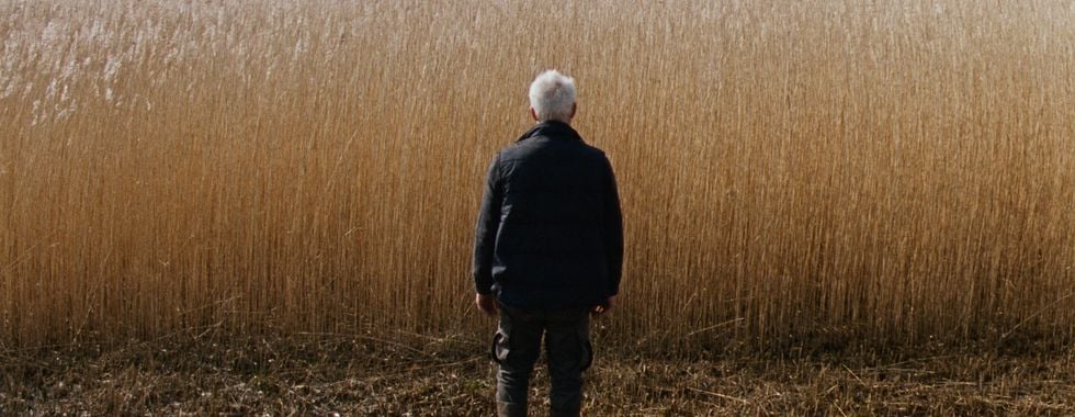 Photo du film Reedland