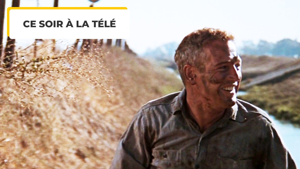 Tonight on TV: If we only had to watch one movie with Paul Newman, this would be it!