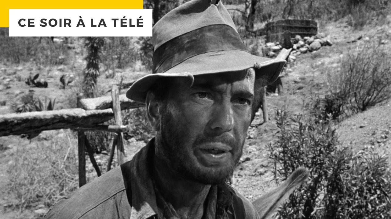 Ce soir à la télé attention, la fin de ce film avec Humphrey Bogart