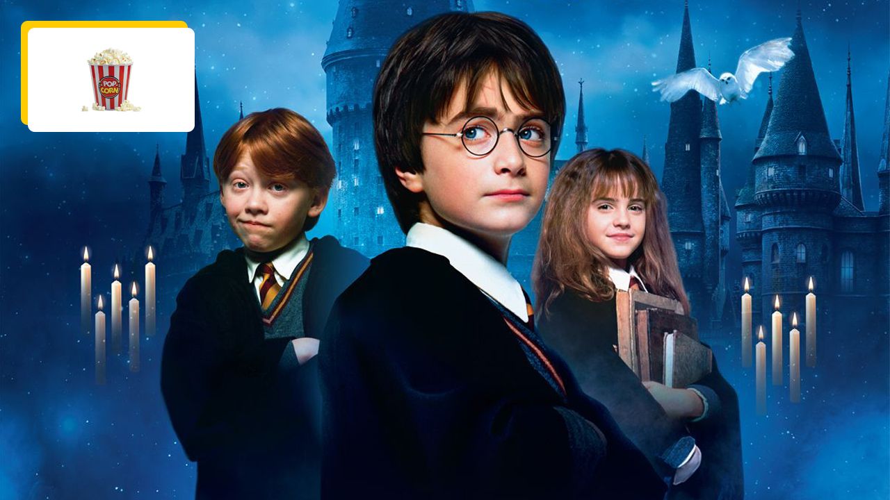 “Not a pure Hollywood version”… 25 years ago this iconic and unexpected director could make a Harry Potter movie!