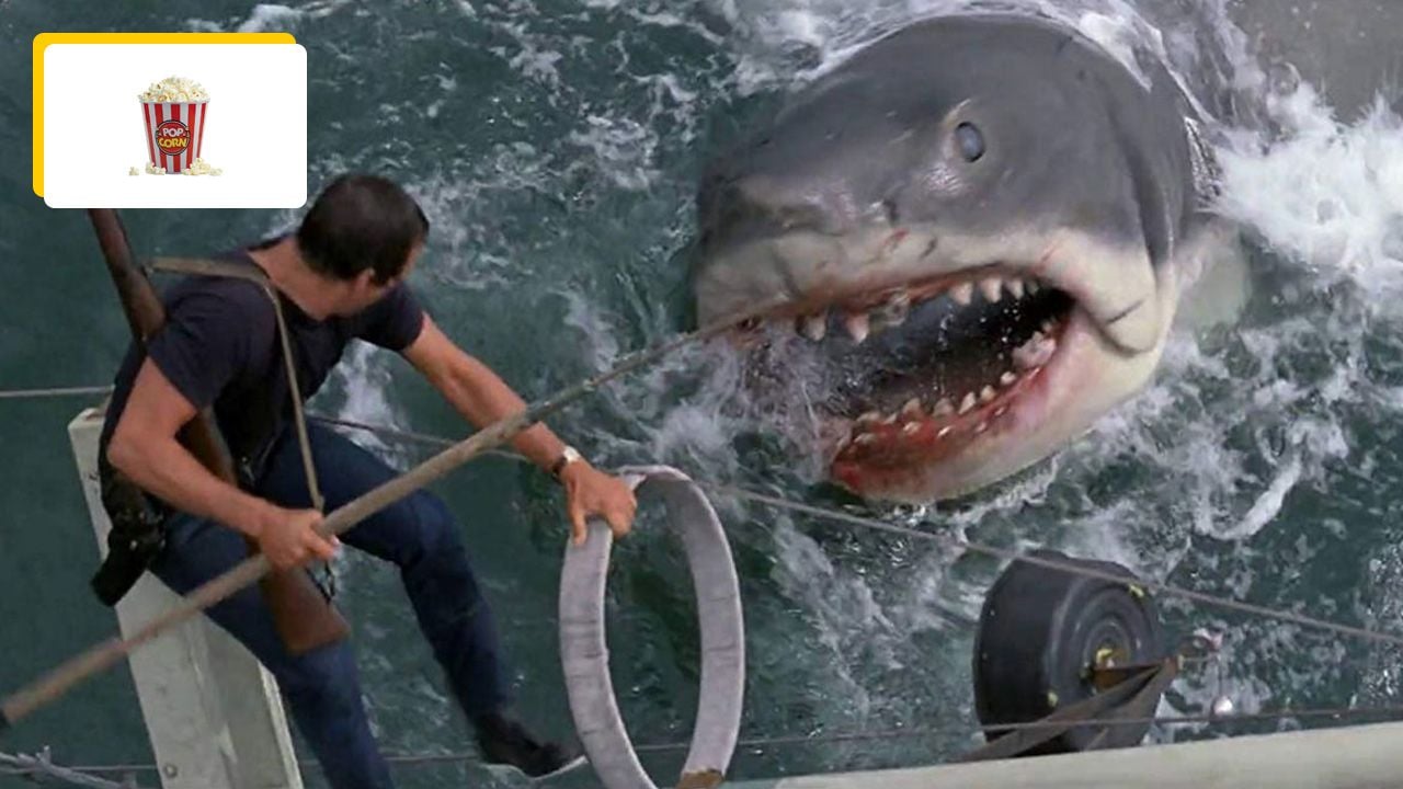 Jaws: in the movie, the mythical shark spent 20 years of his life in a landfill!