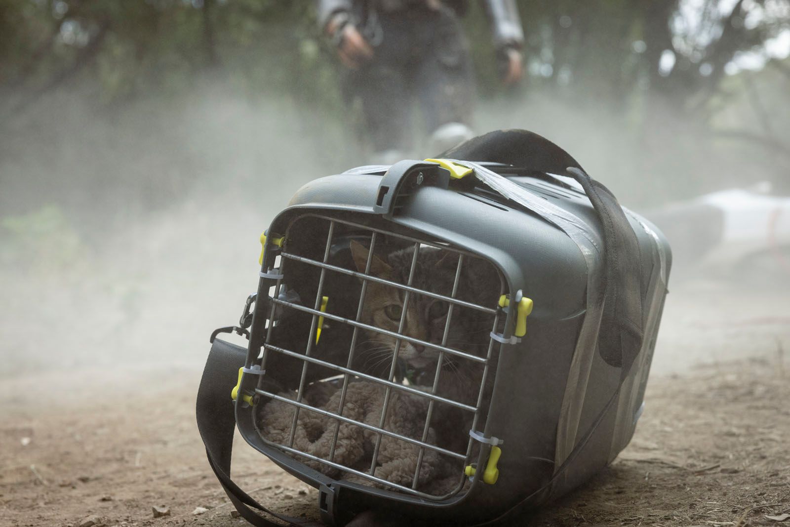 Photo du film Apocalypse Z : Le début de la fin - Photo 8 sur 26 - AlloCiné