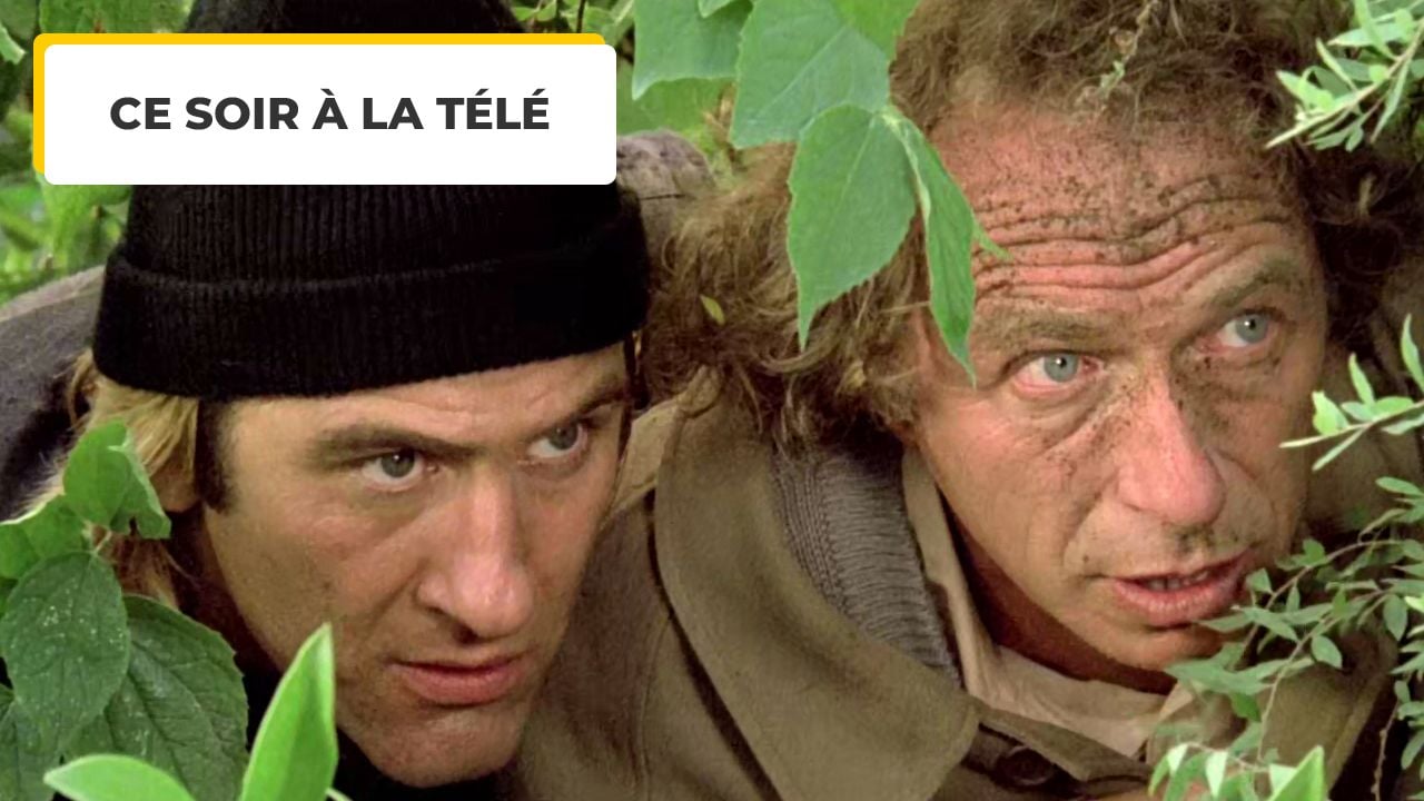 Tonight on TV: Did you like Goats and Comprehension? So you will enjoy this evening!