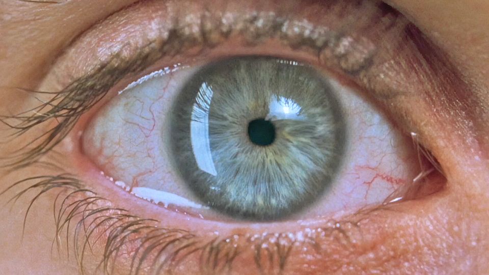 Trailer du film Requiem for a Dream - Requiem for a Dream Bande-annonce