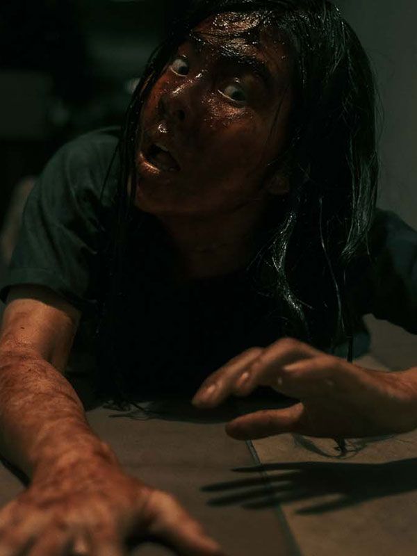Vietnamese Horror Story streaming fr
