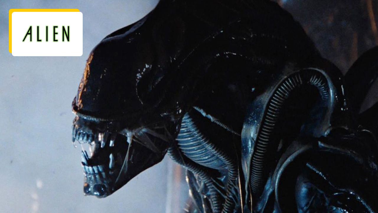 ‘It’s great’: The next Alien has been confirmed by the original film’s director and promises to be remarkable!
