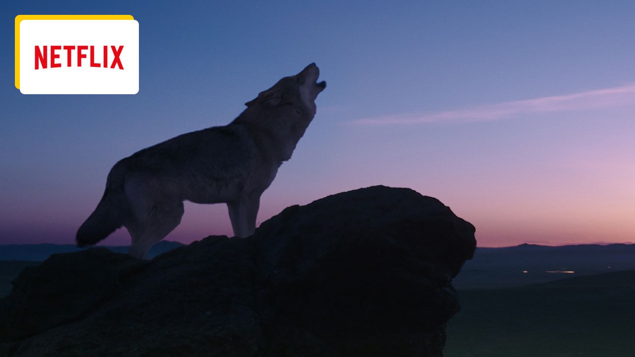 Tonight on Netflix: The director of The Name of the Rose captures animals like no other, and every image in this film proves it