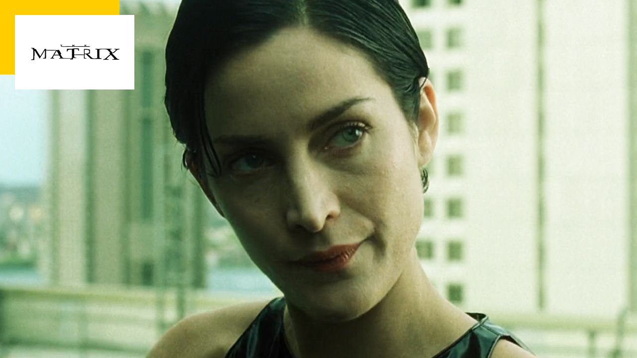 The Matrix with Carrie-Anne Moss but without Keanu Reeves, it exists!