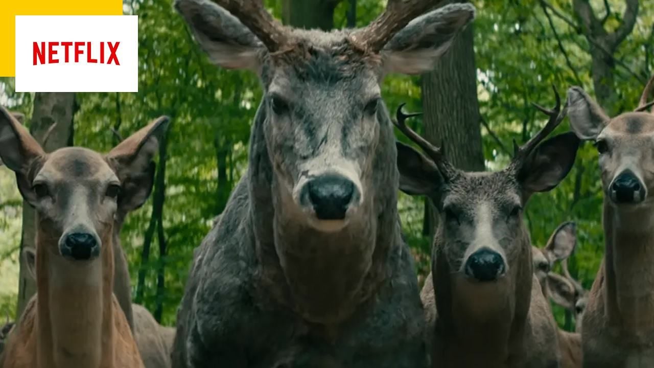 The World After Us on Netflix: Did the scene with the animals in the forest seem weird?  The director explains everything