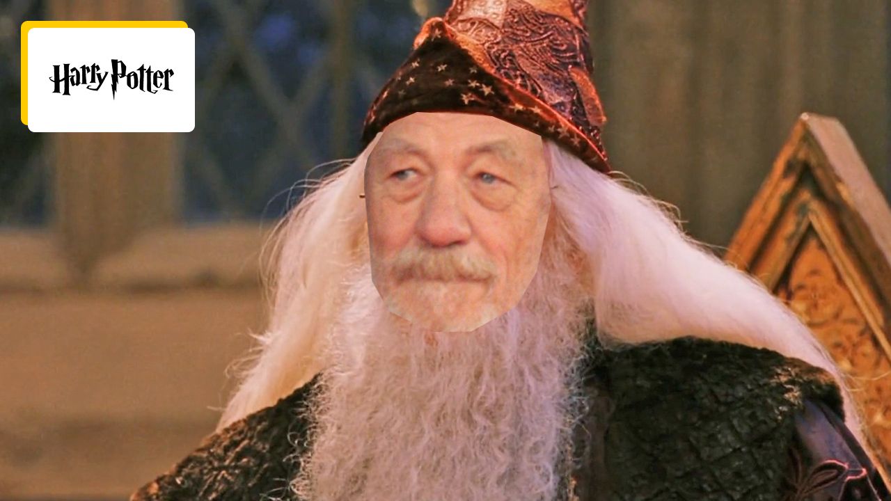 From Gandalf to Dumbledore?  Ian McKellen refused to appear in Harry Potter because of a derogatory comment