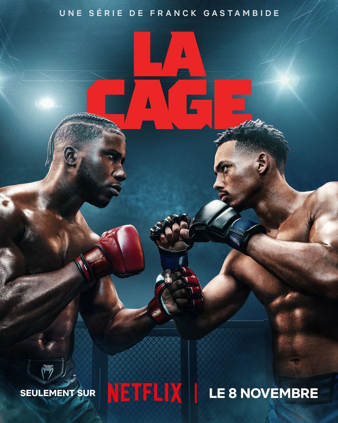 Poster La Cage Affiche 1 sur 6 AlloCiné