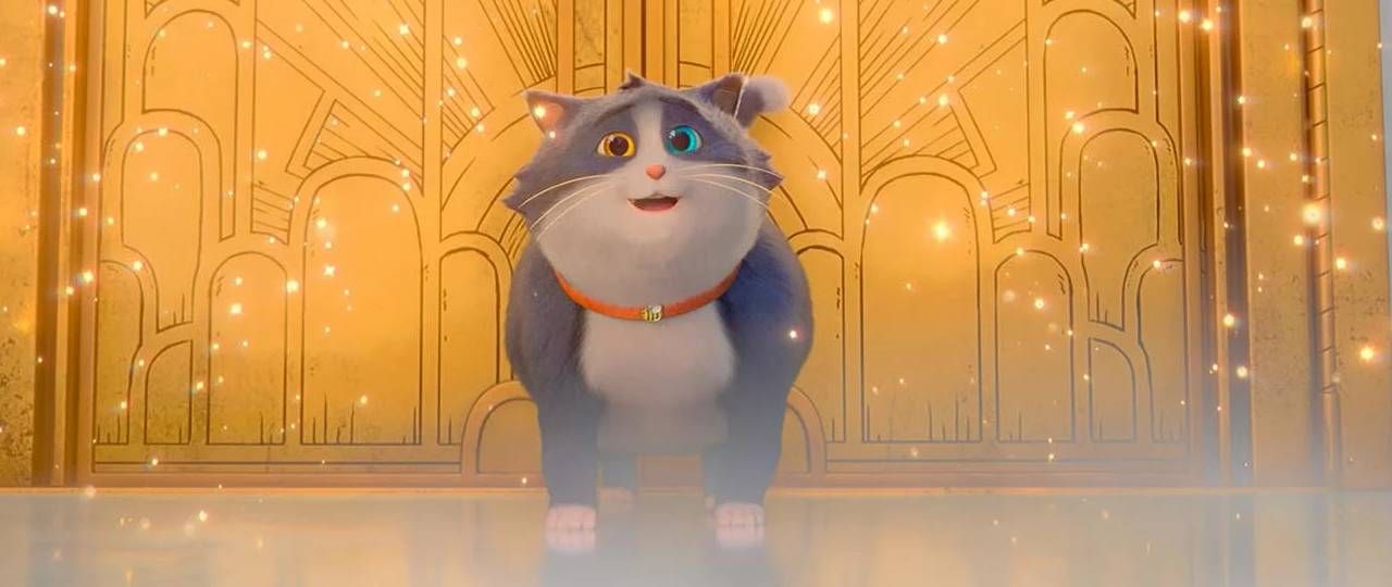 Croquette le chat merveilleux