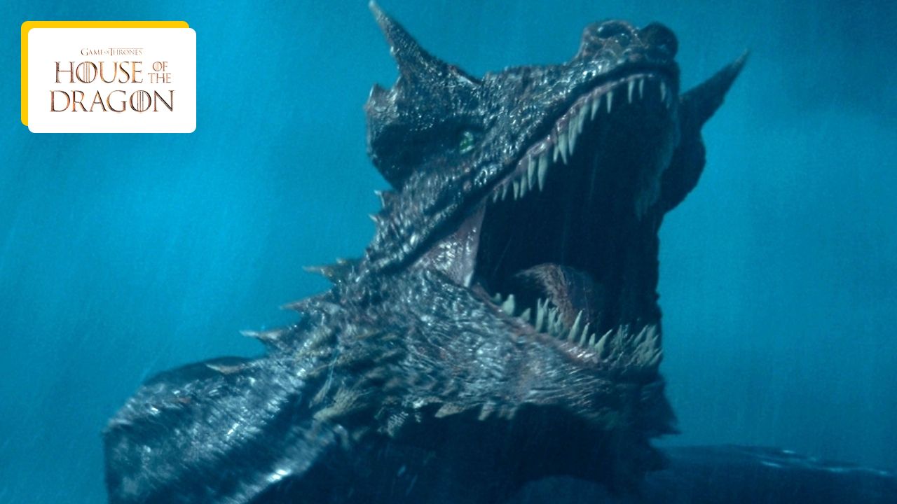 Dragon House: ‘We Couldn’t Be More Excited’… This Surprise Announcement Will Delight Fans!